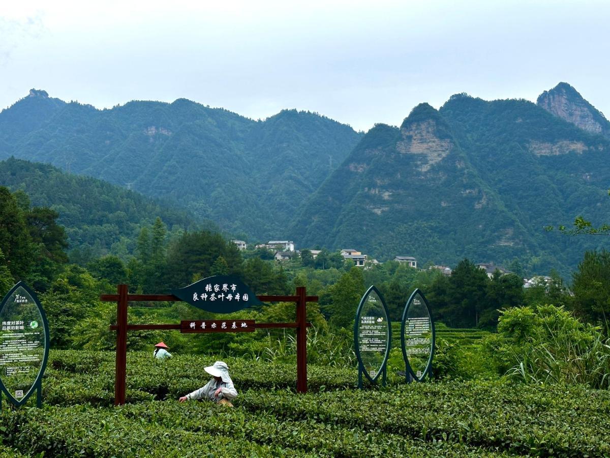 Zhangjiajie National Park Nvue Resorts Exterior photo
